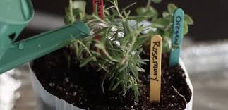 Grow An Herb Garden Crafts For Kids