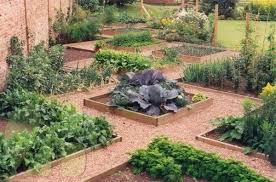 Vegetable Garden Design Backyard