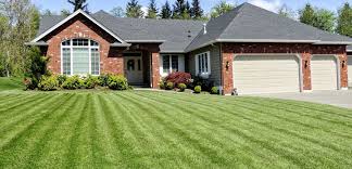 Landscaping By Baza Services