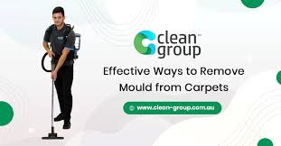 Remove Mould From Carpets