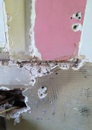 On Plaster Walls From 1920s