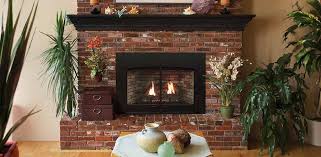 Best Gas Fireplace Inserts Fireplaces