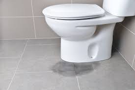 Leaking Toilet Cistern Main Causes