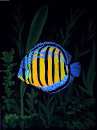 Discus Fish Artwork Aquarium Painting