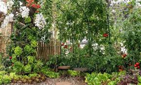 Benefits Of Having A Kitchen Garden