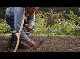 Paul Gautschi Planting His Garden