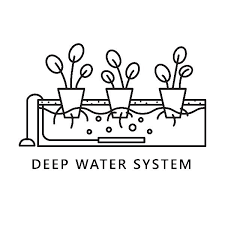 A Hydroponic Vegetable Garden