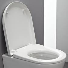 Laufen Pro Toilet Seat With Lid For