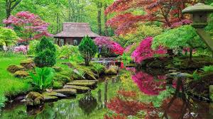 Inspirational Japanese Zen Garden Ideas