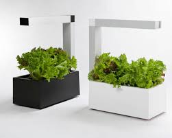 Sana Tregren Herbie Indoor Garden