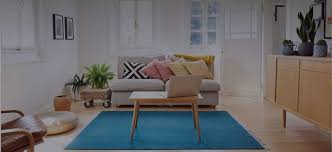 oriental rug cleaning in manas va