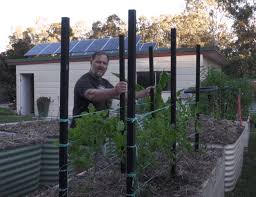 Tomato Stakes Recycled Plastic Solid