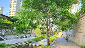 Cheonggyecheon The Official Travel