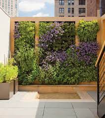 Green Walls Add Tranquil Beauty To Your
