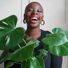 The Stem Plants Delivered Nationwide
