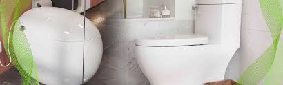 Explore Perfect Toilet Bowl Shapes