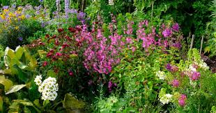 Design An Old Fashioned Cottage Garden