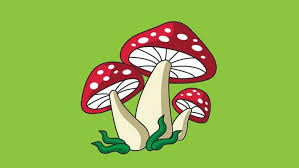 Psychedelic Mushroom Vector Art Icons