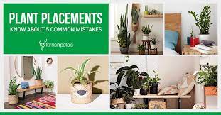 Plant Placements