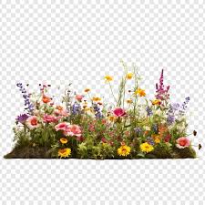 Flower Garden Images Free On