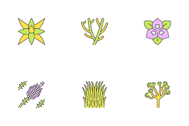 Desert Plants Icon Pack 20 Colored