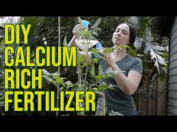 Diy Water Soluble Calcium Fertilizer