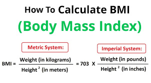 Mass Index Bmi Calculator