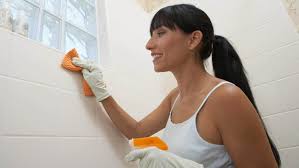 How To Get Rid Of Pink Mold In A Shower