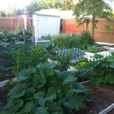 Grow A Garden Of Vegetables In Florida