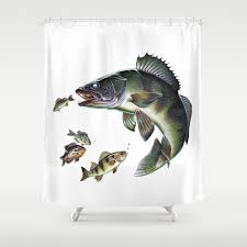 Walleye Shower Curtain By Salmoneggs