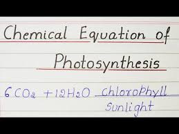 Chemical Equation Of Photosynthesis