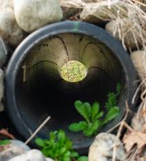 French Drain Installation Services In