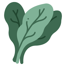 Spinach Free Food Icons
