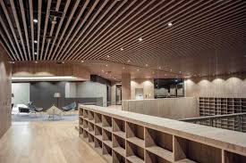 Specialty Ceiling Systems Avid