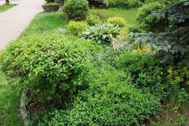 Gardening Stock Photos Images