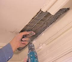 My Plaster Covered Ceiling Magnetic