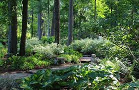 9 Peaceful Garden Scenes To Bring A