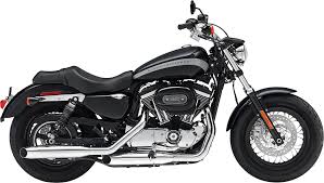 1200 Custom No Cages Harley Davidson