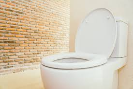 Toilet Icon Floor Plan Pictures