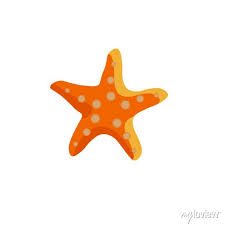 Starfish Isolated On A White Background
