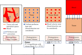 Pennes Bioheat Equation Vs Porous