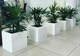 Square Fibreglass Indoor Planter Size