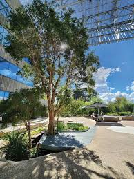 School Of Design And Built Environment