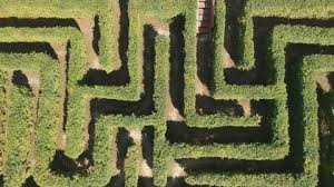 Maze Garden Stock Footage
