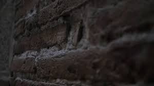 Building Brick Wall Stock Footage