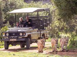 Garden Route Wildlife Safari Multi Day Tour