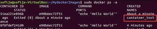 how to use docker run command with examples