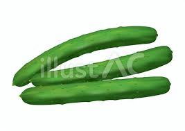 Free Vectors Cucumber