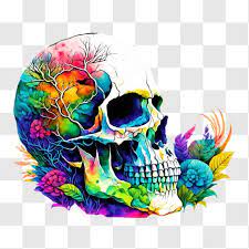 Colorful Skull With Flowers And Leaves