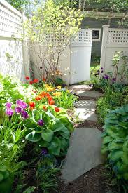 Spring Gardening Tips For Newbies